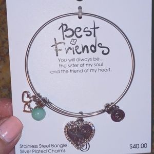NWT stainless steel best friends bangle/turquoise and silver accents
